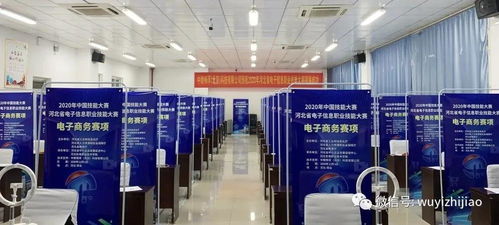 衡水市武邑職教中心教師在河北省電子信息服務業職業技能大賽中榮獲佳績，彰顯信息電子技術服務專業實力